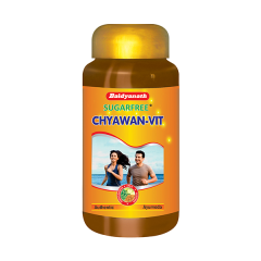 Baidyanath Chyawan-Vit SugarFree 500 gm