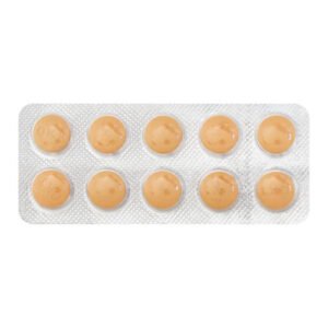 Ginkocer Tablet 10'S