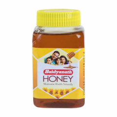 Baidyanath Honey 500 gm